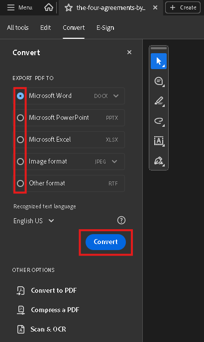 Adobe to Word - Step 3.png